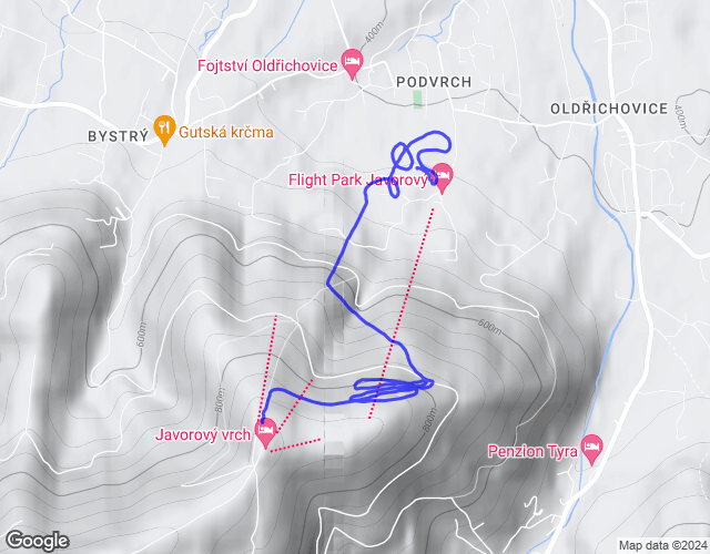 flight map