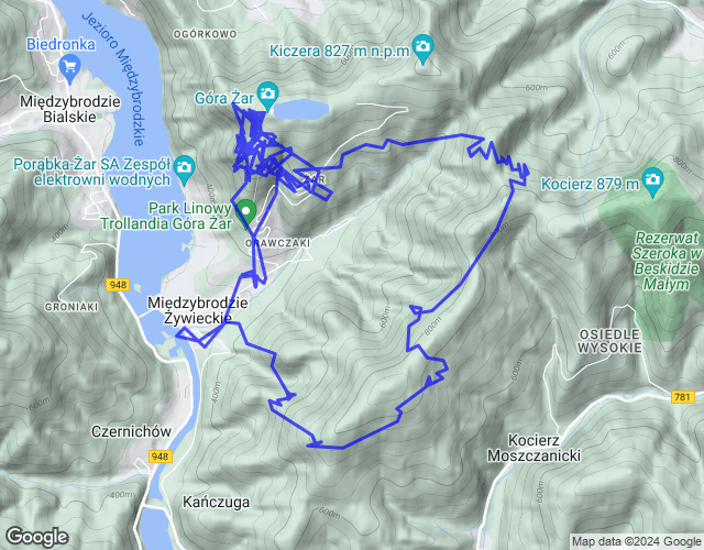 flight map