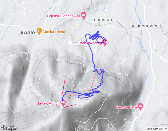 flight map