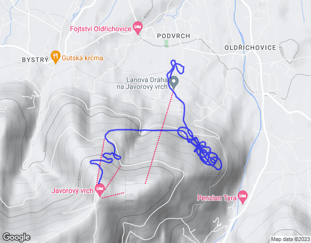 flight map