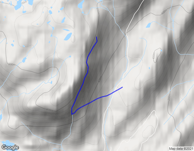 flight map