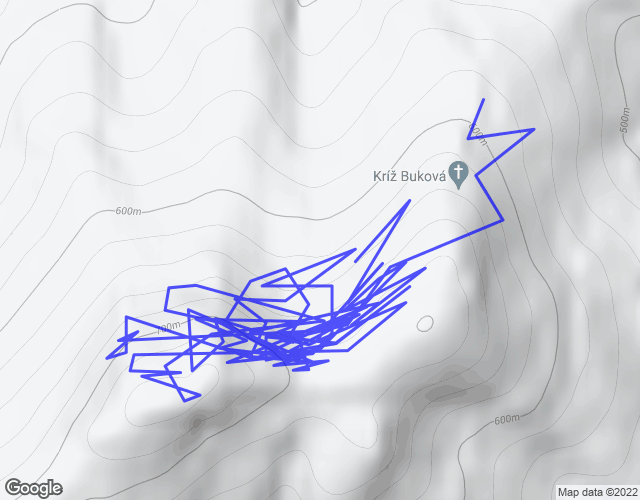 flight map